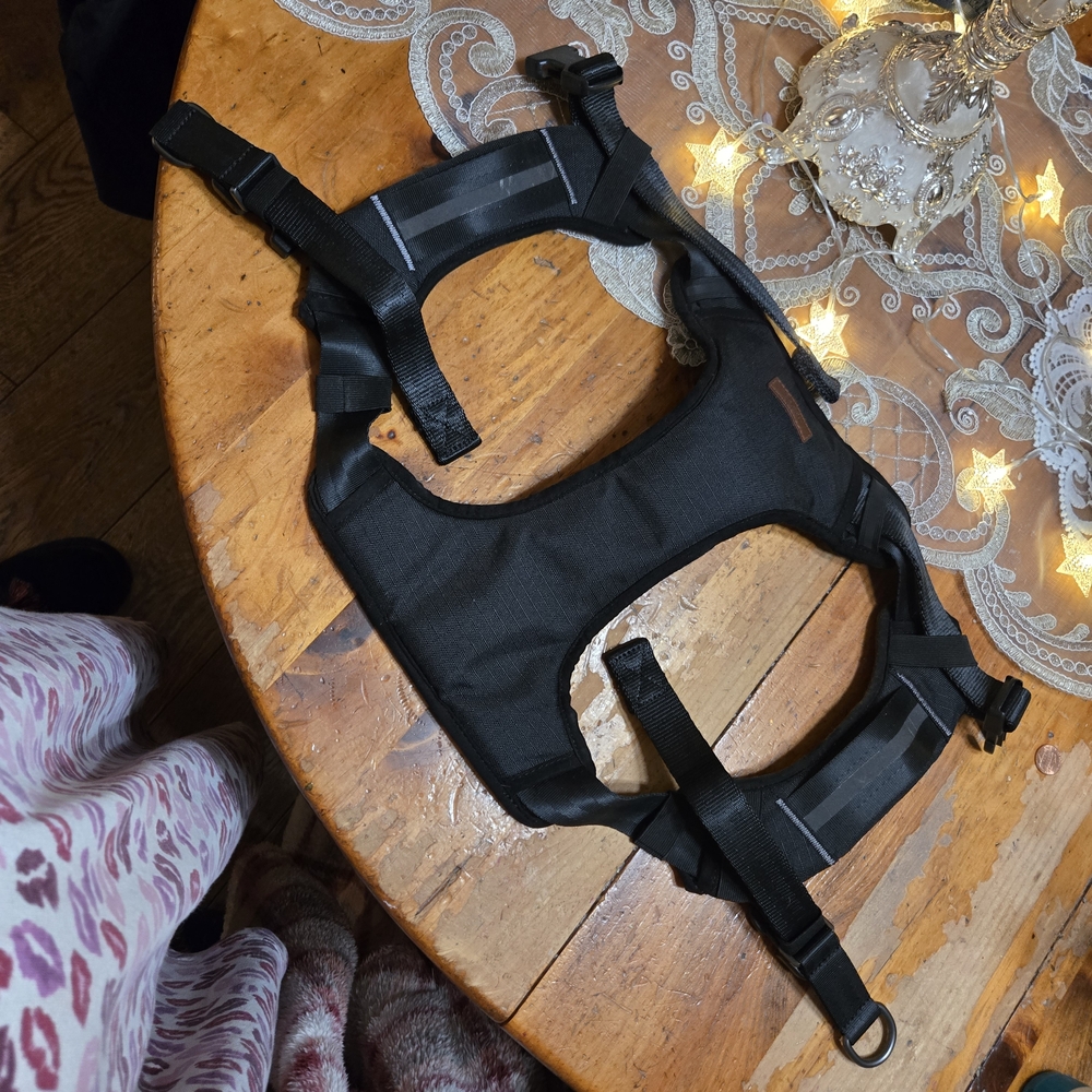 NWOT Reddy Crash Tested Dog Harness